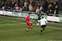 4 Lee (Noble ) crosses.....jpg