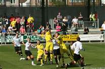 Click for large image