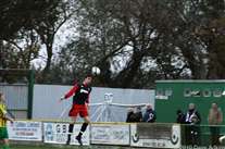 Click for large image