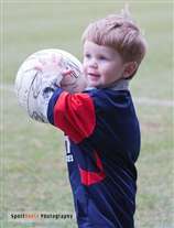 Click for large image