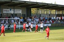 Click for large image