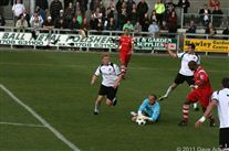 Click for large image