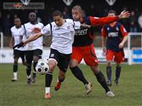 Click for large image