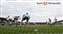 DartsVChelmsford04.jpg