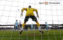 Click for large image