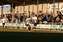 Dartford V Redbridge (13).JPG