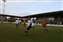 Dartford V Ware (13).JPG
